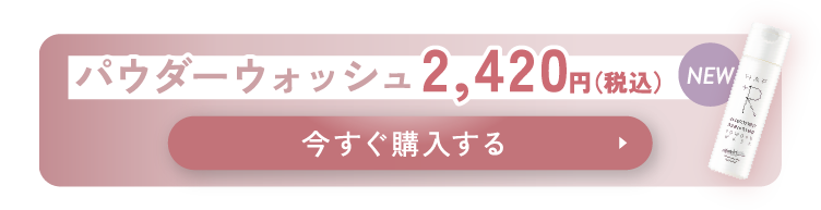 パウダーウォッシュ2,420円（税込）今すぐ購入する